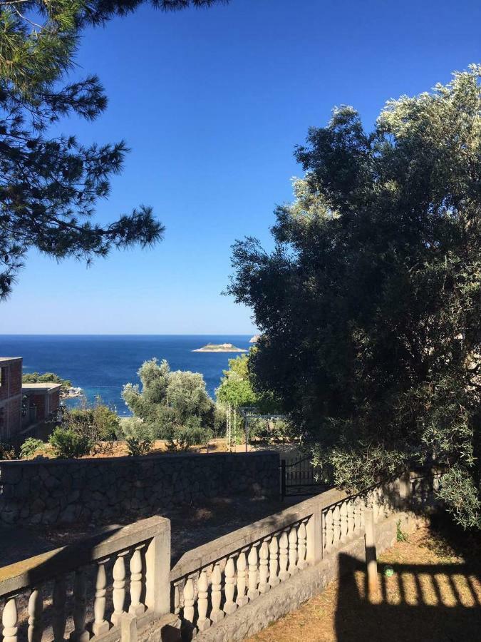 Apartman Novica Herceg Novi Kültér fotó